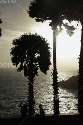 ASIA THAILAND PHUKET RAWAI ASIA THAILAND PHUKET RAWAI