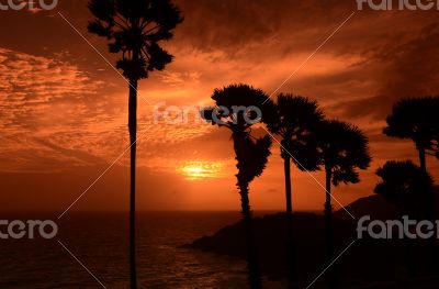 ASIA THAILAND PHUKET RAWAI ASIA THAILAND PHUKET RAWAI
