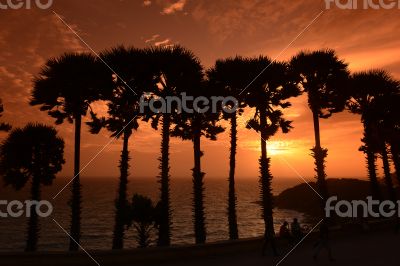 ASIA THAILAND PHUKET RAWAI ASIA THAILAND PHUKET RAWAI