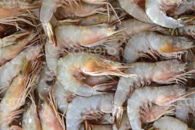 ASIA THAILAND PHUKET MARKT ASIA THAILAND PHUKET MARKT