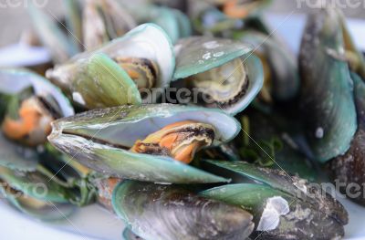 ASIA THAILAND PHUKET MARKT ASIA THAILAND PHUKET MARKT