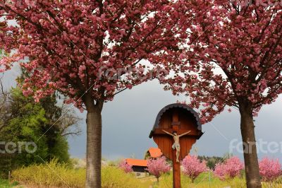  Idyllic Landscape