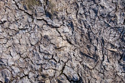 Dried-up mud surface