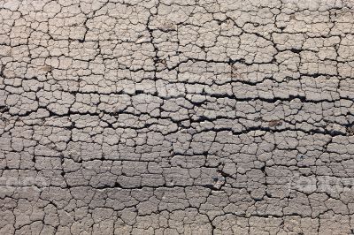 Cracked dry ground