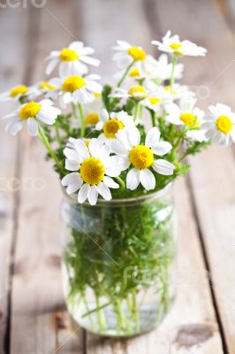 chamomile bouquet chamomile bouquet