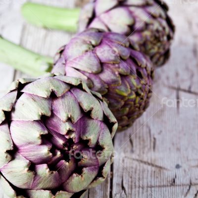 fresh artichokes