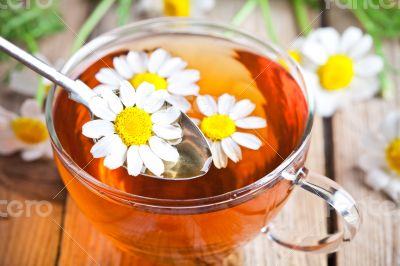 cup of tea with chamomile flowers 