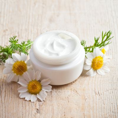 container with cream and chamomiles container with cream and chamomiles