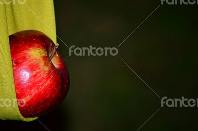 Apple in the cloth 