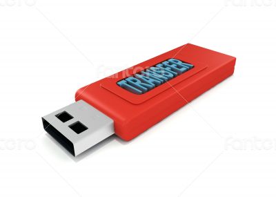 3d usb drive that contains word transfer