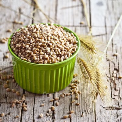 wheat grain in bowl and ears 