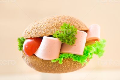 sandwich with brown bread sandwich with brown bread