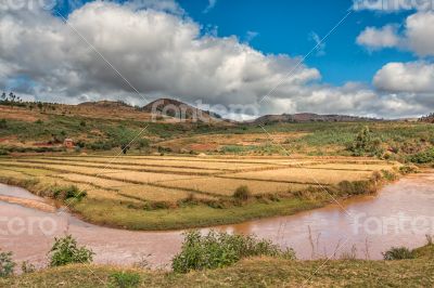 Naturally Beautiful Madagascar 