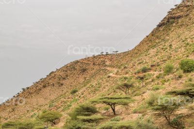 The steep mountains of Hararge region