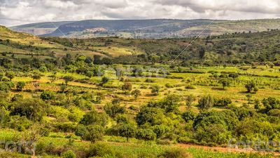 Beautiful landscape of Harar