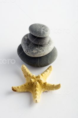 Natural spa elements- seashell with starshell and stones on whit