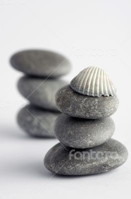 Natural spa elements- seashell with starshell and stones on whit Natural spa elements- seashell with starshell and stones on whit
