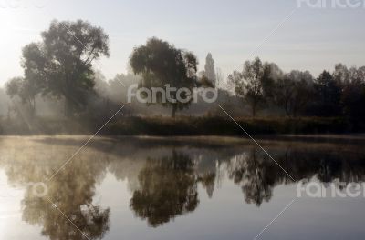 Foggy morning landscape in the autumn park near the lake. Foggy morning landscape in the autumn park near the lake.