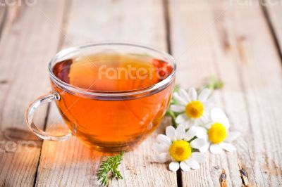 cup of tea with chamomile flowers 