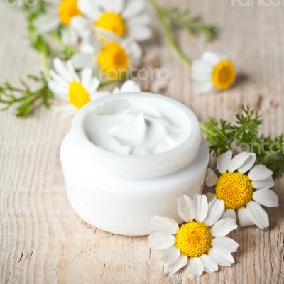 container with cream and chamomiles container with cream and chamomiles