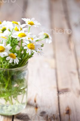 chamomile bouquet in jar 