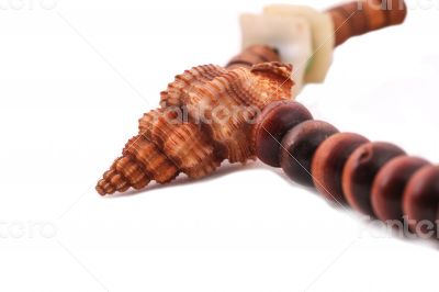 Shell with wood beads on the white background Shell with wood beads on the white background