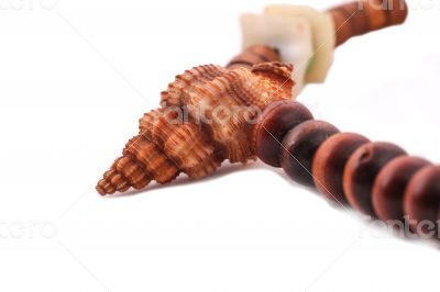 Shell with wood beads on the white background