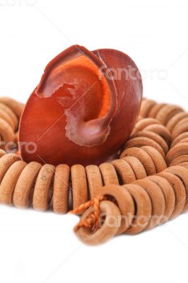Shell with wood beads on the white background Shell with wood beads on the white background
