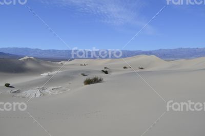 Sandy dunes in the Death Valley