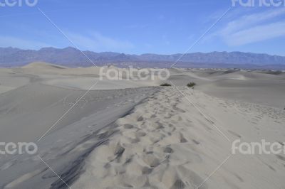 Dunes in death valley Dunes in death valley