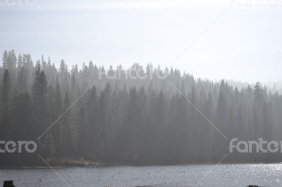 Hume Lake Hume Lake
