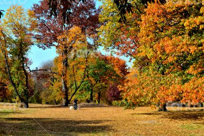Autum colors in Central Park
