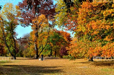 Autum colors in Central Park Autum colors in Central Park