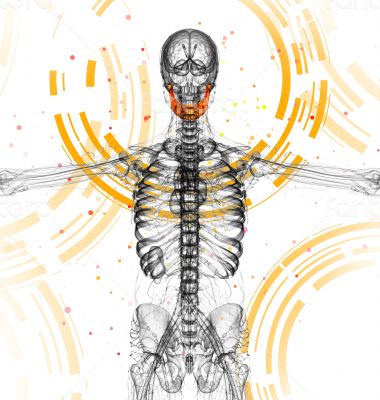 3d render medical illustration of the jaw bone