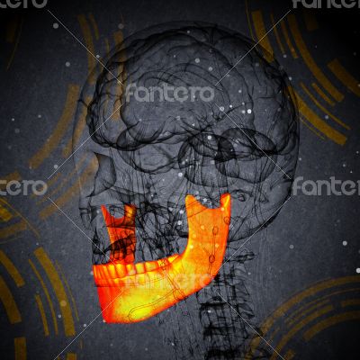 3d render medical illustration of the jaw bone 3d render medical illustration of the jaw bone