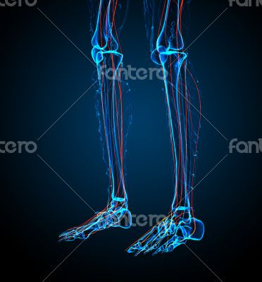 3d render medical illustration of the nerve system