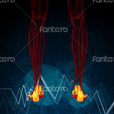 3d render medical illustration of the foot bone