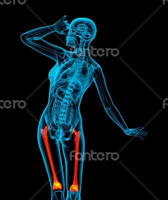 3d render medical illustration of the femur bone 