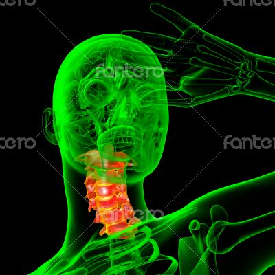  cervical spine