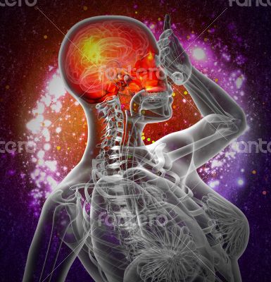 3d render medical illustration of the upper skull 3d render medical illustration of the upper skull