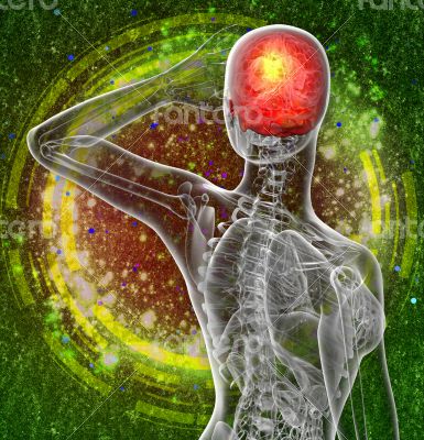 3d render medical illustration of the upper skull 