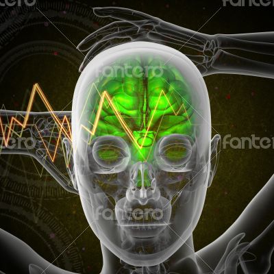 3d render medical illustration of the human brain 