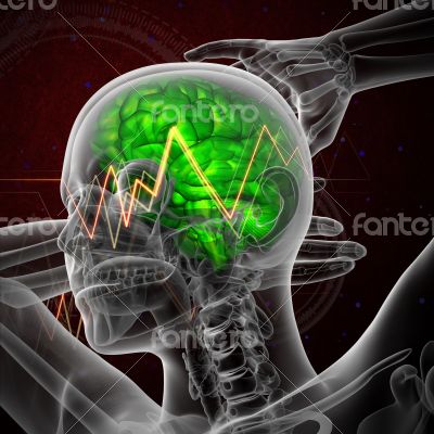 3d render medical illustration of the human brain 