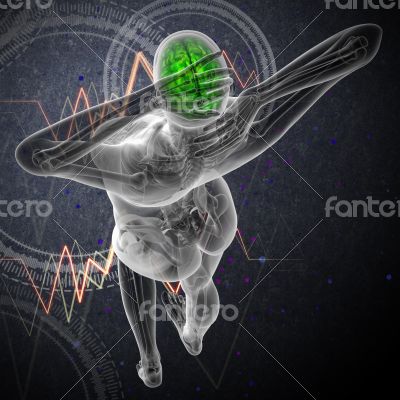 3d render medical illustration of the human brain 