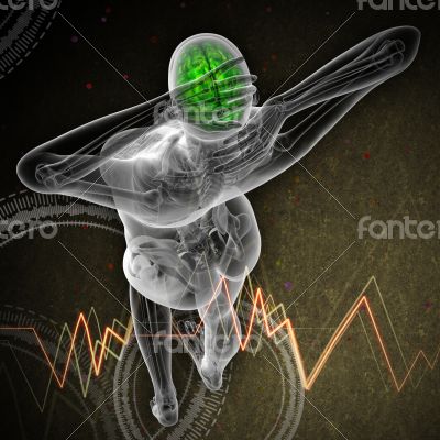 3d render medical illustration of the human brain 