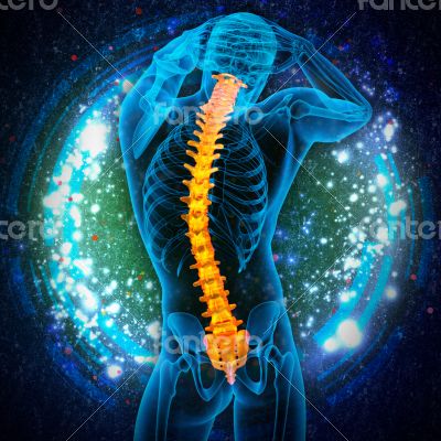 3d render medical illustration of the human spine