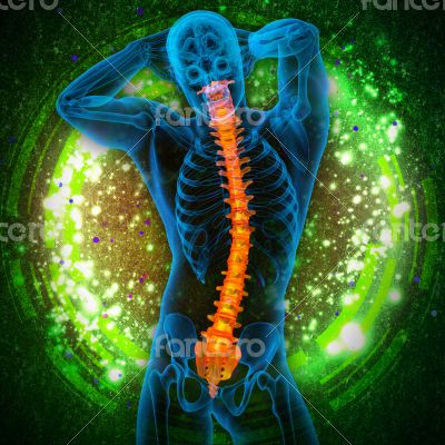 3d render medical illustration of the human spine