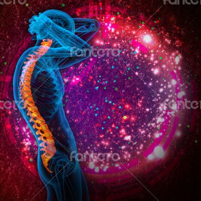 3d render medical illustration of the human spine 3d render medical illustration of the human spine