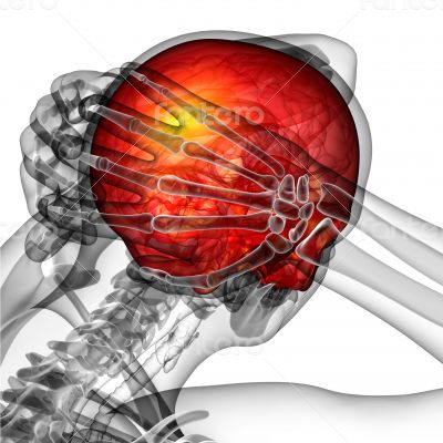 3d render medical illustration of the upper skull 