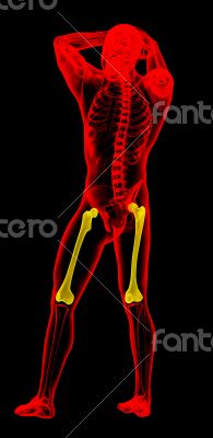 3d render medical illustration of the femur bone 